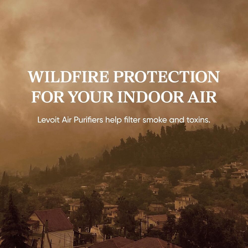 Purificador de Aire LEVOIT Core 200S