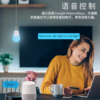 FOCO SMART 2 Foco Smart - Alexa Google